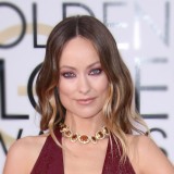 Spoločenské účesy Golden Globes 2016: Olivia Wilde