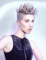 100-spolocenske-ucesy-zinc-hair-contessa-2016-canadian-hairdressing-awards